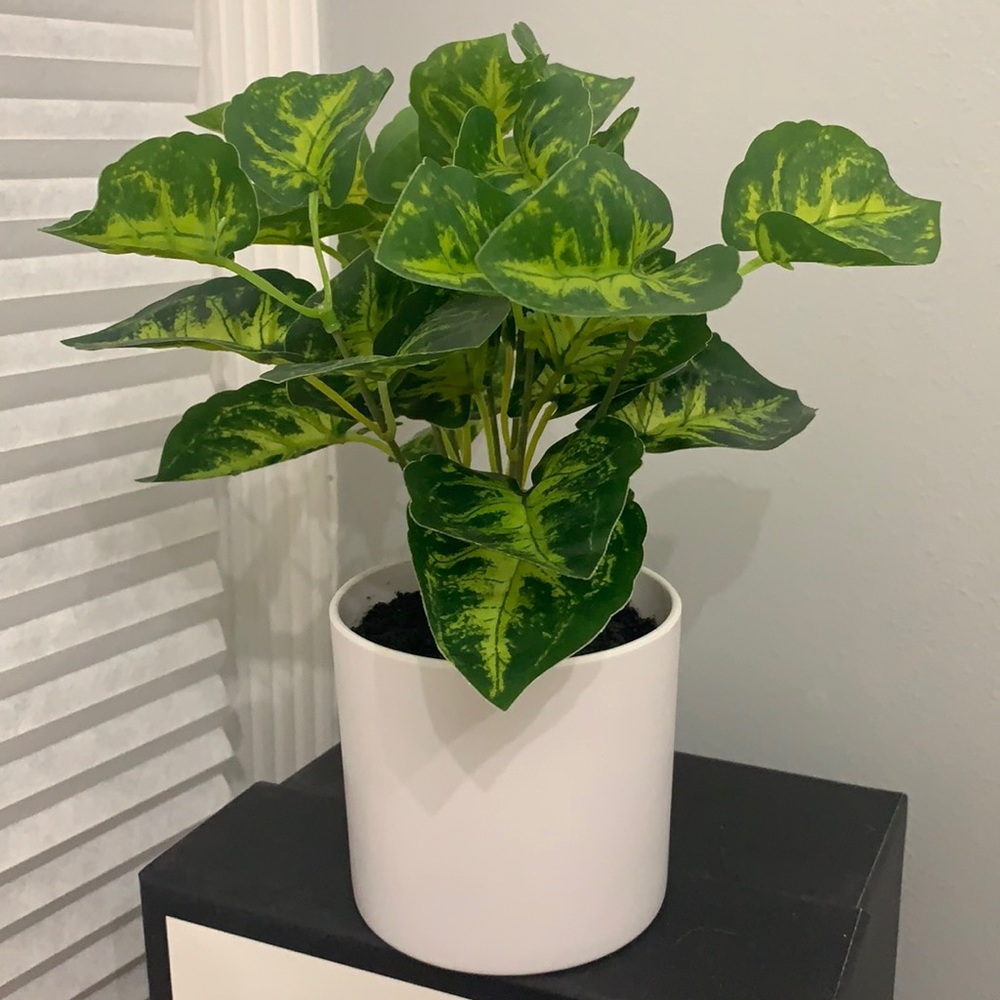Fake decorative plant